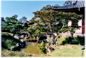 Garden 6, Kyoto Japan